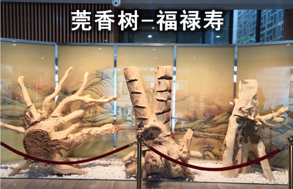 东莞中国沉香文化博物馆，中国第一座香文化主题博物馆